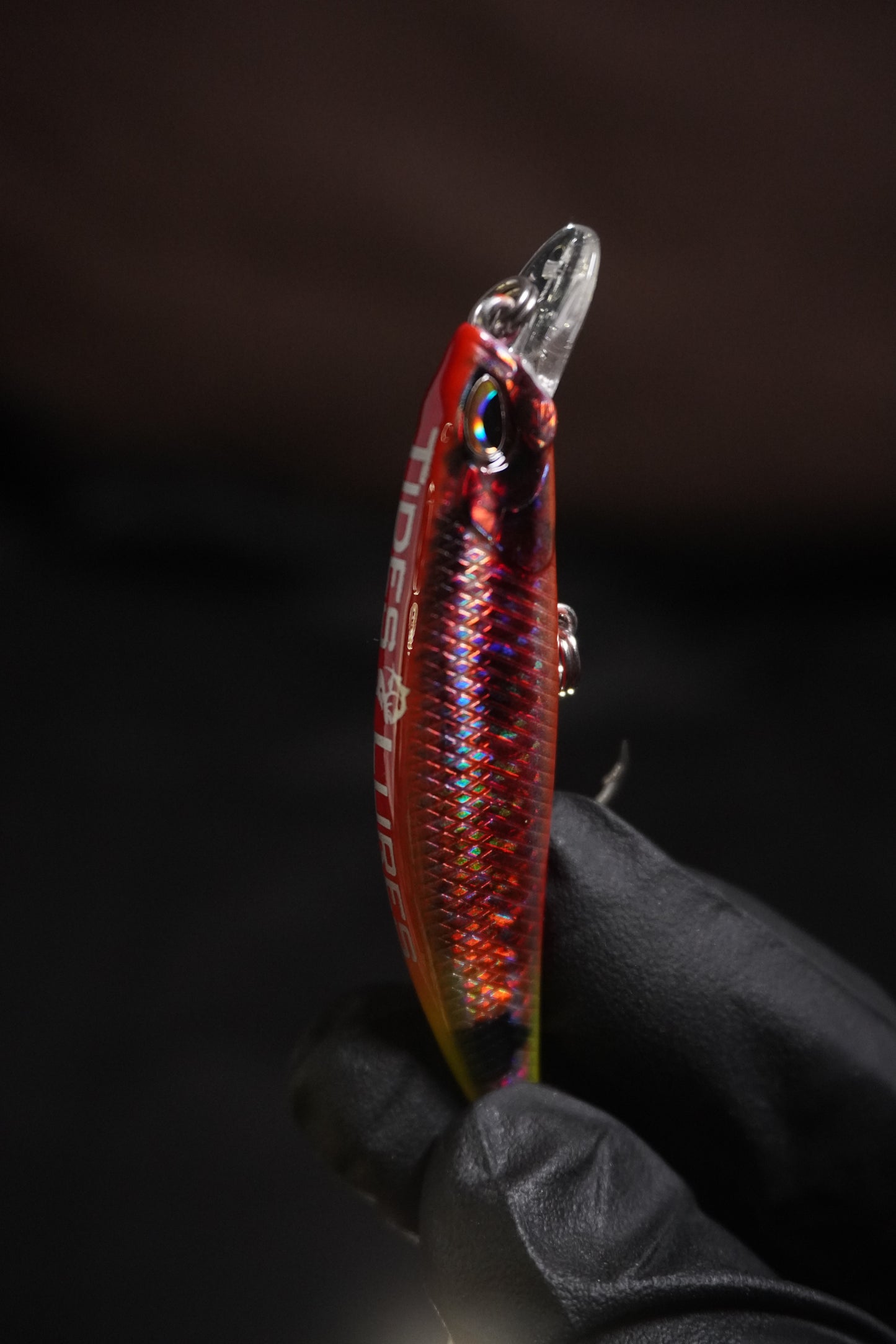 Reef Runner - Ti RouZ Fanal